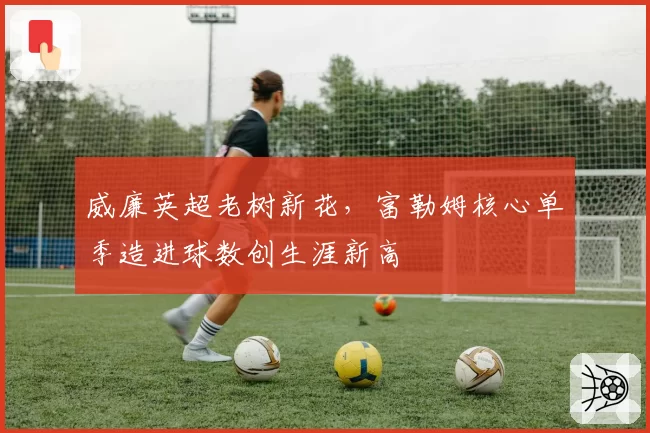 威廉英超老树新花，富勒姆核心单季造进球数创生涯新高