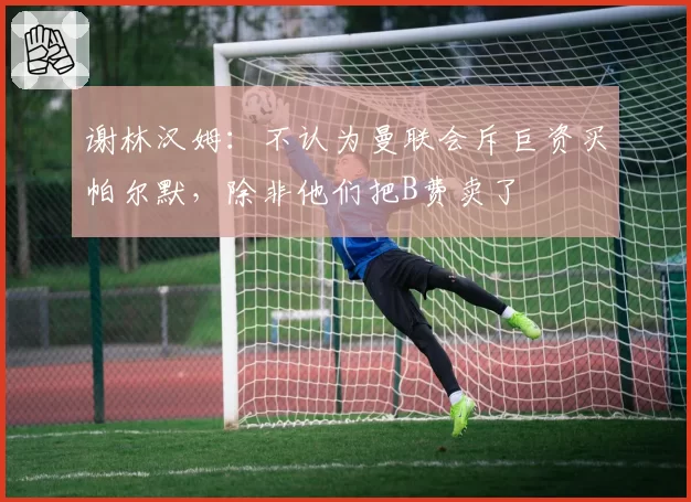 谢林汉姆：不认为曼联会斥巨资买帕尔默，除非他们把B费卖了