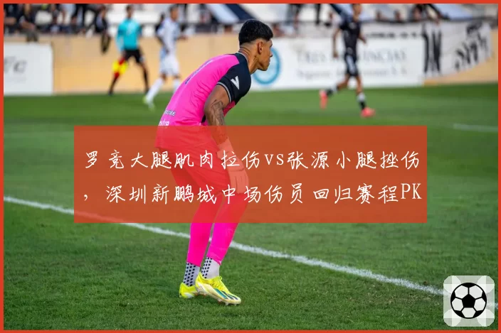 罗竞大腿肌肉拉伤vs张源小腿挫伤,深圳新鹏城中场伤员回归赛程PK