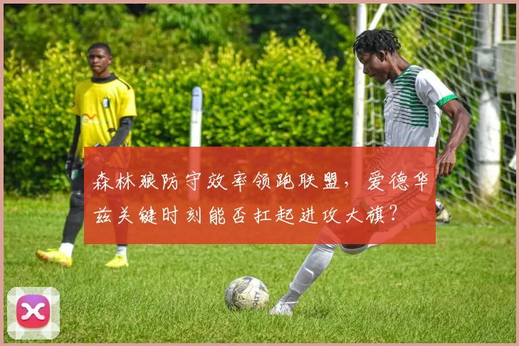 森林狼防守效率领跑联盟,爱德华兹关键时刻能否扛起进攻大旗?